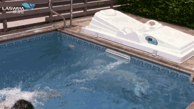 6.gif